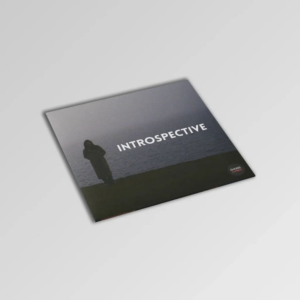 DANS-TUNES_FREE-BEAT-Introspective