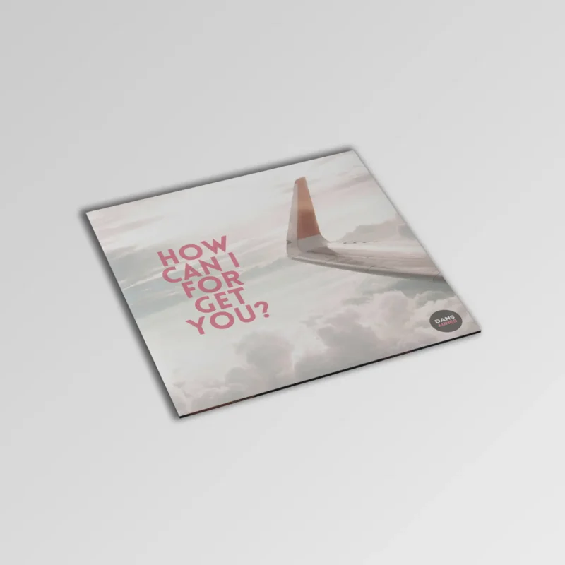 DANS-TUNES_FREE-BEAT-How-can-I-forget-you